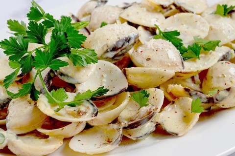 Vongole clams, in cream sauce, on a white plate, homemade, top view, no people
