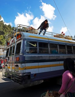 Gualtemalan man packs baskets with chickens on the roof of a bus, market in Sololá, Highlands,