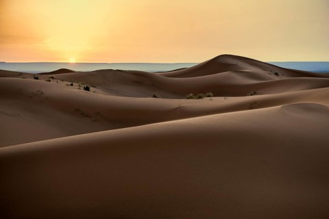 Sand dunes, sunrise, near Merzouga, Meknès-Tafilalet region, Erg Chebbi, northern Sahara, Morocco
