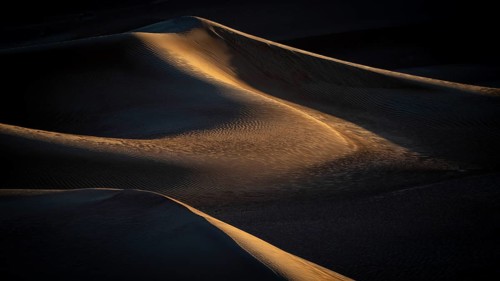 Sand dunes in the Rhub al Khali desert, empty quarter, largest sandy desert in the world, Oman