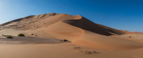 Sand dunes in the Rhub al Khali desert, empty quarter, largest sandy desert in the world, Oman