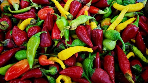 Fresh colourful peppers (Capsicum) in different colours on the market, North Macedonia