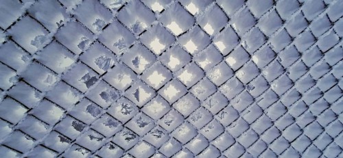 Frozen grid pattern with a cool, bluish atmosphere, Thuringian Forest, Germany