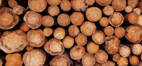 Stacks of tree trunks with various sizes and brown wood textures, Frankenwald nature park Park,