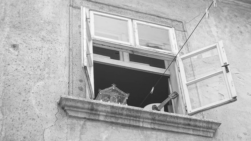 Open window with guitar and empty cage, retro atmosphere, black and white, Bratislava, Slovakia