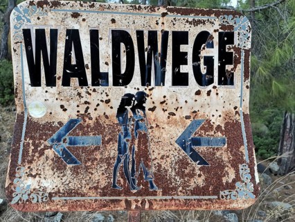 Rusty sign in the forest with the inscription 'forest trails' and arrows in both directions against