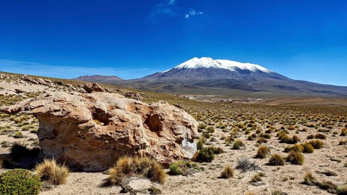Stone and plants in front of a majestic snow-capped mountain under clear skies, The landscape of