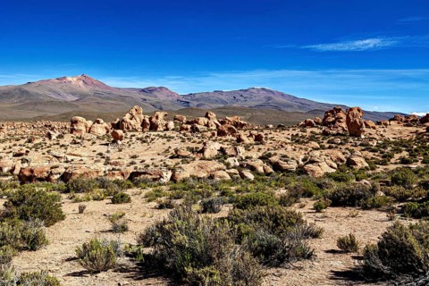 Barren desert landscape with scattered rocks and isolated plants, surrounded by mountains, The