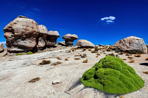 Rocky desert landscape with lush green vegetation under clear blue sky, The landscape of the