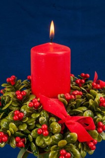 Red burning Christmas candle on bed of green boxwood with red berries