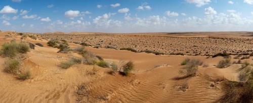 Sand dunes in the Wahiba Sands desert, Oman