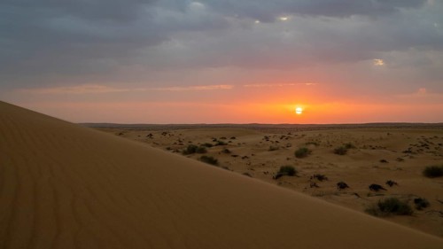 Sunset, sand dunes in the Wahiba Sands desert, Oman