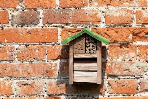 Bee or bug hotel or insect house on a brick wall in a garden, England, United Kingdom