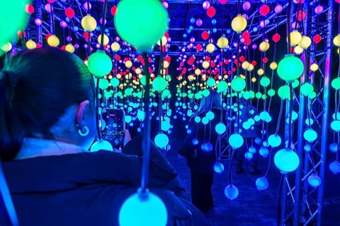 Park lights, winter event, in the Grugapark in Essen, many different light installations, across