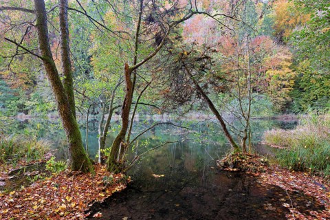 Egelsee in autumn-colored surroundings, Bergdietikon, Canton of Aargau, Switzerland
