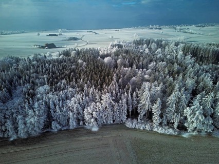 Aerial view of forest in hoarfrost, Horben, Lindenberg, Freiamt, Canton of Aargau, Switzerland