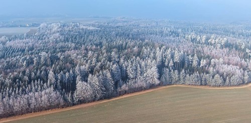Winter forest aerial view of a mixed forest with spruces, pines, birches and beech trees covered