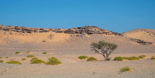 Barren landscape near Duqm, Oman