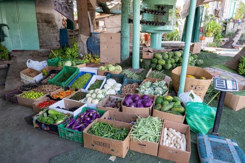 Fruit and vegetable stand, Salalah, Oman
