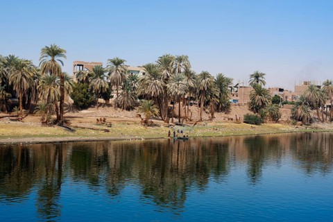 Houses and palm trees on the banks of the Nile near Luxor, Egypt