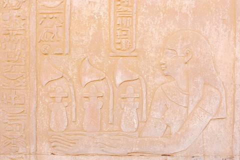 Relief at the double temple of Kom Ombo, Kom Ombo, Egypt