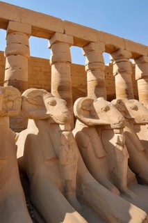 Aries sphinxes in front of the colonnades, Karnak Temple, Luxor, Egypt