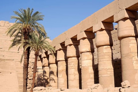Colonnade and date palms (Phoenix dactylifera), Karnak Temple, Luxor, Egypt
