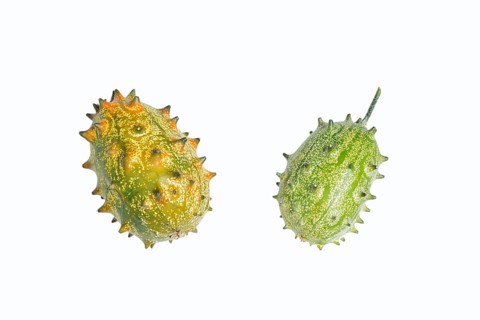 Horned cucumber, kiwano or horned melon (Cucumis metuliferus), fruit on a white background, native
