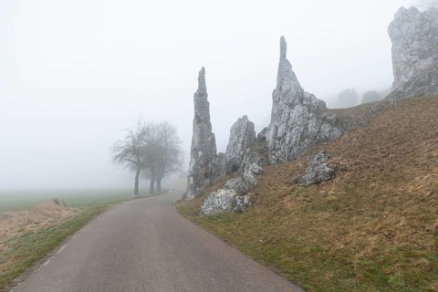 Spring 2026: Mystic morning fog surrounding the Stone Virgins (Steinerne Jungfrauen) rock formation