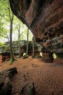Sandstone Cliffs, Old Castle Rock, near Eppenbrunn, Palatinate Forest, Rhineland-Palatinate,