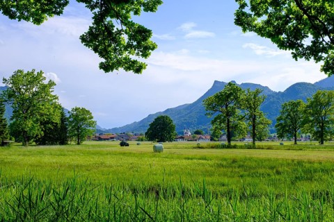 Am Naturerlebnispfad, Aschau, Chiemgau, Upper Bavaria, Bavaria, Germany