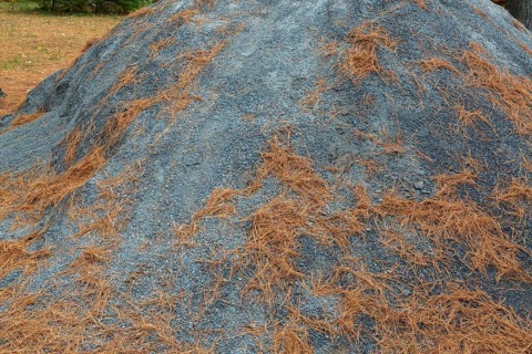 Mound of grey gravel and crushed stone dust with shedded Pinus - Pine tree needles at construction