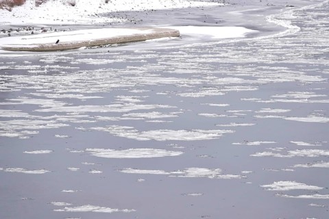 Elbe with ice floes, winter, Dresden, Saxony, Germany