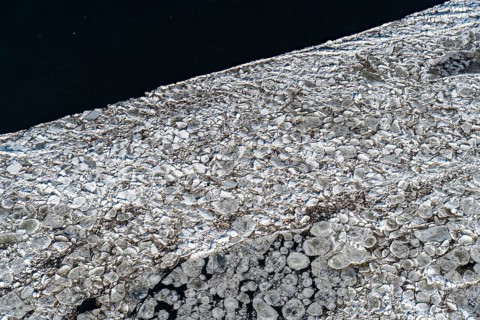 Ice, water, river, Elbe, ice floe, pancake ice cream, many, aerial view, Schleswig-Holstein, Lower