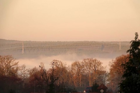 Morning fog in winter, landscape with trees, Germany