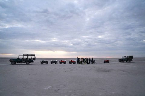 Tourists on a quad bike tour to the Makgadikgadi Salt Pans, Makgadikgadi Pans National Park, Gweta,