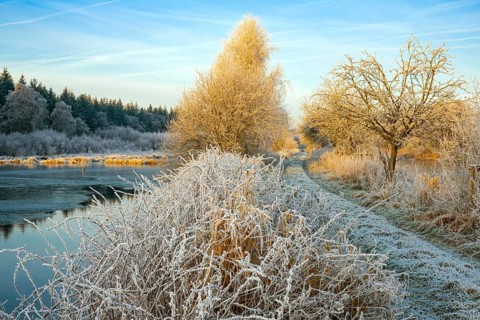 Winter hoarfrost at Ahlhorn fish ponds, Ahlhorn fish ponds, Ahlhorn, Lower Saxony, Germany