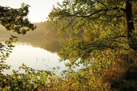 Daybreak at Ahlhorn Fish Ponds, Ahlhorn Fish Ponds, Ahlhorn, Lower Saxony, Germany