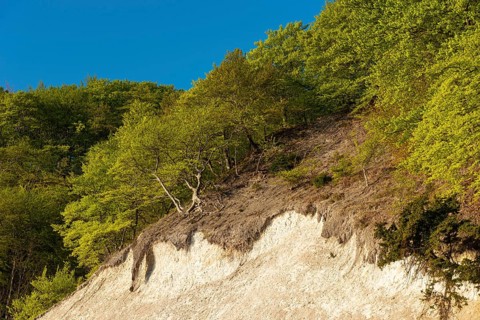 View of chalk cliffs in Jasmund National Park on Rügen, Sassnitz, Rügen, Mecklenburg-Western