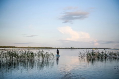 Person on a stand-up paddle board between reeds on a calm lake under clear sky with views, Asnen,