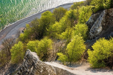 View of chalk cliffs in Jasmund National Park on Rügen, Sassnitz, Rügen, Mecklenburg-Western