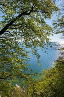 View of chalk cliffs in Jasmund National Park on Rügen, Sassnitz, Rügen, Mecklenburg-Western