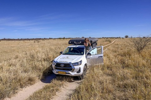 Tourist observes animals through binoculars near the Baines Baobabs, Nxai-Pan National Park, near