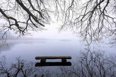 Ahlhorn fish ponds in fog, Ahlhorn, Lower Saxony, Germany