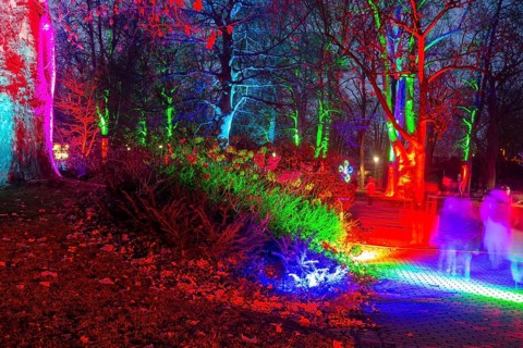 Winter lights in Luisenpark in Mannheim. Every year in January and early February, the park is