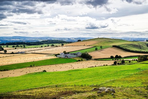 Scottish fields and farms, Southeast Scotland, UK