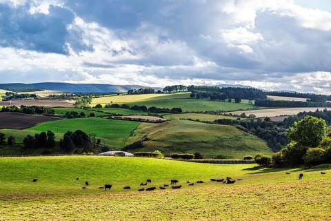 Scottish fields and farms, Southeast Scotland, UK
