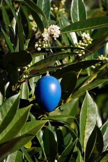 Still life with Easter egg, Germany
