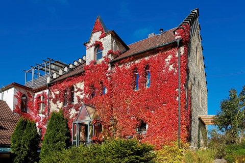 Restaurant Altes Forsthaus near Lichtenstein Castle, restaurant, dining restaurant, historic
