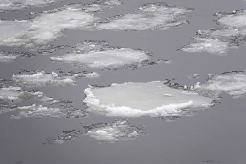 Elbe in winter with ice floes, Dresden, Saxony, Germany